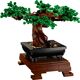 Bonsai Tree 10281 thumbnail-3