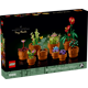 Les plantes miniatures 10329 thumbnail-0