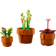 Les plantes miniatures 10329 thumbnail-4