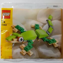 Gecko 11953