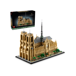 Notre-Dame van Parijs 21061
