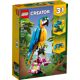 Exotic Parrot 31136 thumbnail-0