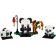 Pandas fürs chinesische Neujahrsfest 40466 thumbnail-1