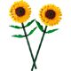 Sunflowers 40524 thumbnail-1