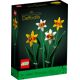 Daffodils 40646 thumbnail-0