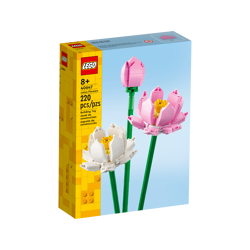 Lotus Flowers 40647