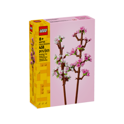 Kirschblüten 40725