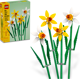 Daffodils 40747 thumbnail-0