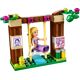 Rapunzel's Best Day Ever 41065 thumbnail-2