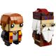 Ron Weasley & Albus Dumbledore 41621 thumbnail-1