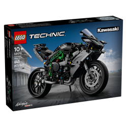 Kawasaki Ninja H2R Motorrad 42170