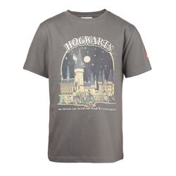 Harry Potter" T-Shirt Gray 5008033