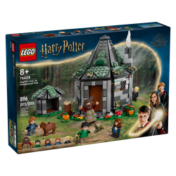 Hagrid's Hut: An Unexpected Visit 76428
