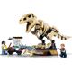 L’exposition du fossile du T. Rex 76940 thumbnail-3