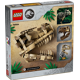 Dinosaur Fossils: T. rex Skull 76964 thumbnail-5